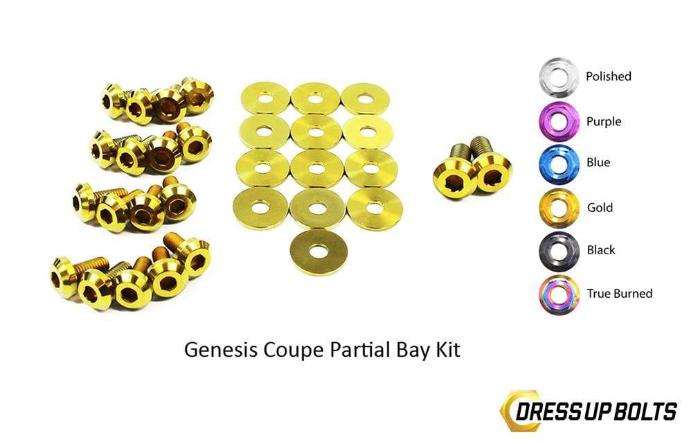 Hyundai Genesis Coupe (2009-2016) Titanium Dress Up Bolts Partial Engine Bay Kit