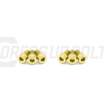 Dress Up Bolts Titanium Hardware Blow Off Valve Kit - TiAL Sport Q/QR