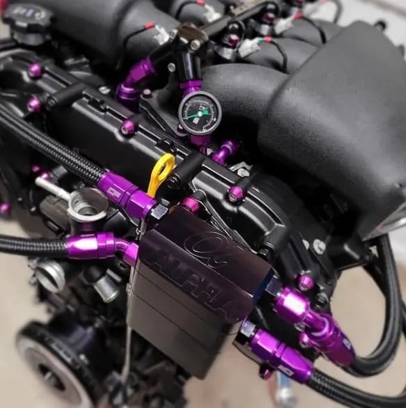 Purple AN Fittings and Black Nylon Hose
